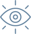 Vision Icon